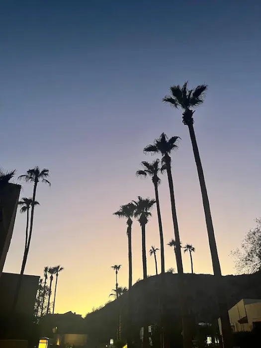 PHOENIX RESORT 5