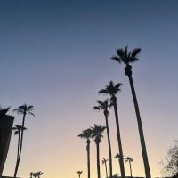 PHOENIX RESORT ico