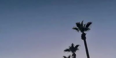 PHOENIX RESORT
