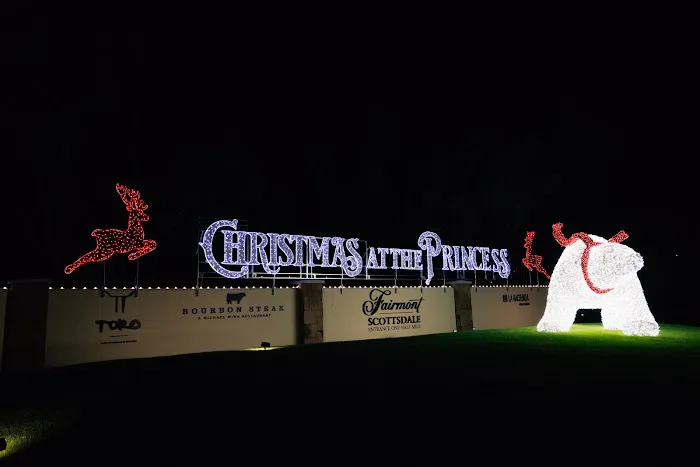 Christmas at the Princess 5