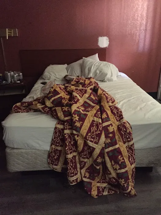 Budget Motel 5