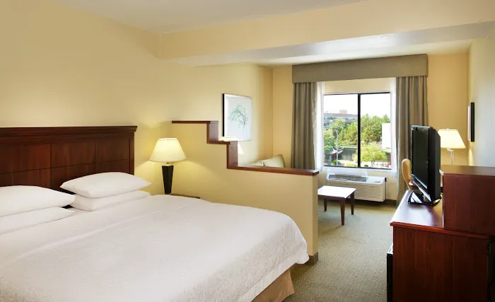 Hampton Inn Phoenix-Airport North 5