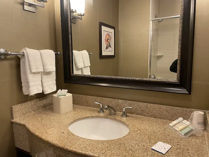 Hilton Garden Inn Phoenix Airport North 5