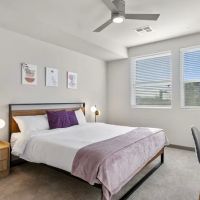 CozySuites Phoenix ico