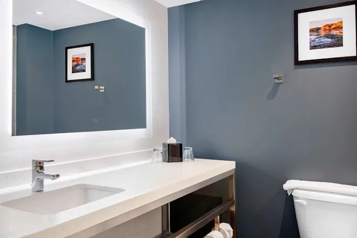 Hilton Garden Inn North Phoenix Scottsdale 5
