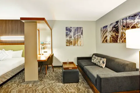 SpringHill Suites By Marriott Columbia Fort Meade Area 4