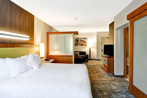 SpringHill Suites By Marriott Columbia Fort Meade Area 4