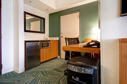 SpringHill Suites Baltimore BWI Airport 5