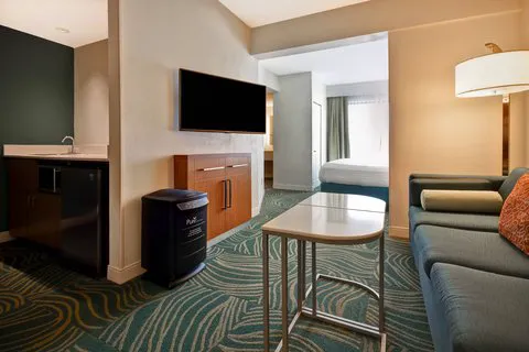 SpringHill Suites Baltimore BWI Airport 5