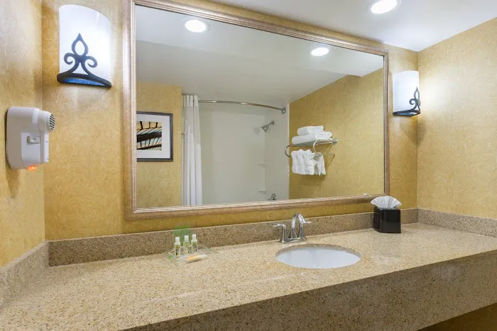 Holiday Inn Baltimore Bwi Airport by IHG 5