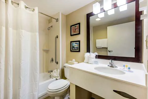 Comfort Inn College Park North 4