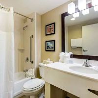 Comfort Inn College Park North ico