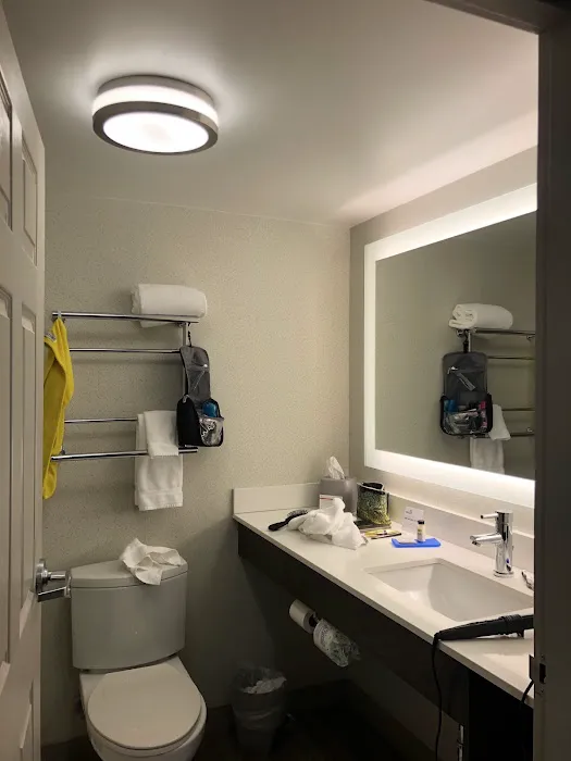 Holiday Inn Express & Suites Baltimore - Bwi Airport North by IHG 5