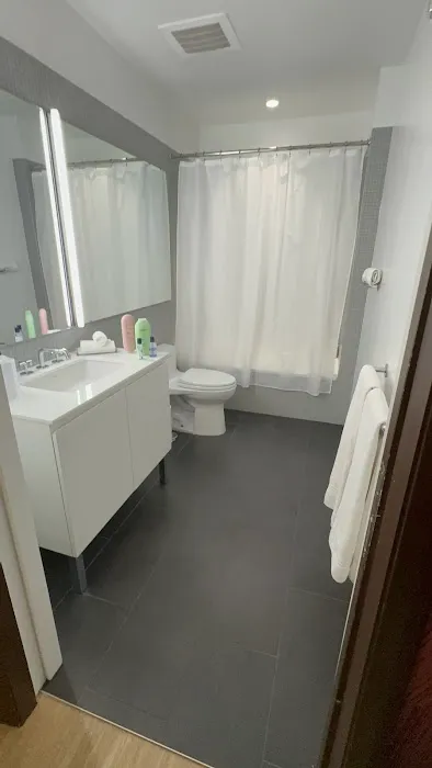 BLACK SWAN - Liz DC - Executive Flat 4