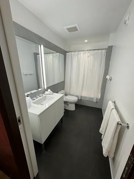 BLACK SWAN - Liz DC - Executive Flat 4