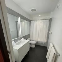 BLACK SWAN - Liz DC - Executive Flat ico