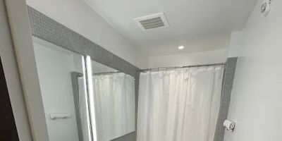 BLACK SWAN - Liz DC - Executive Flat