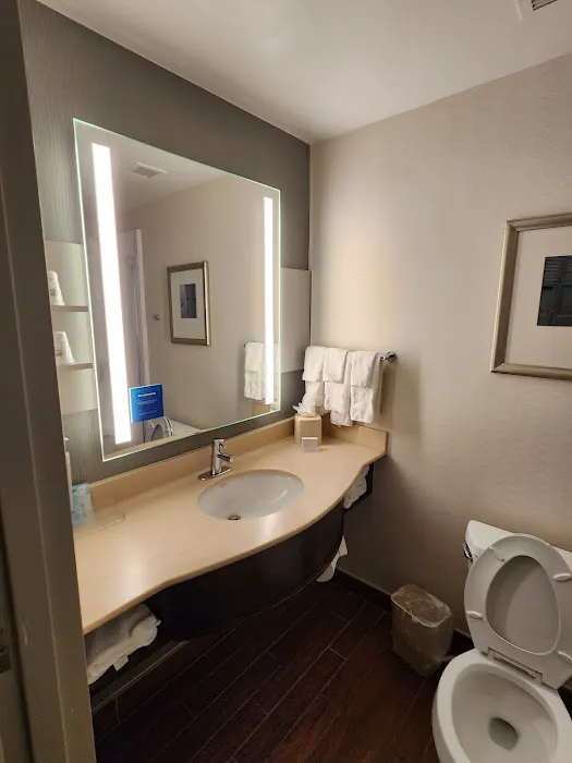 Hilton Garden Inn New Orleans French Quarter/CBD 5