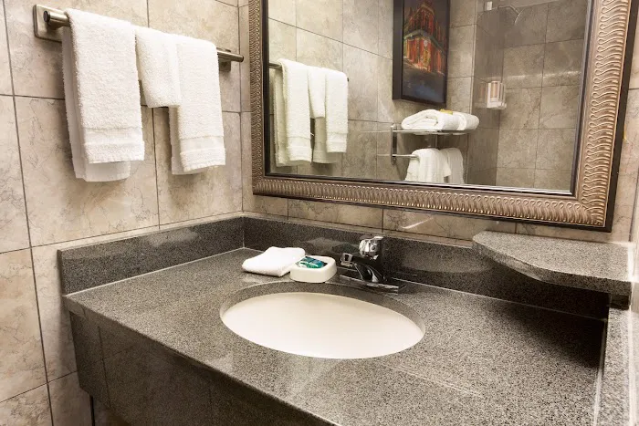 Drury Plaza Hotel New Orleans 5