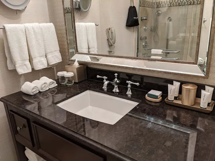 The Roosevelt New Orleans, A Waldorf Astoria Hotel 5
