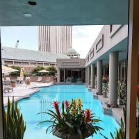 The Windsor Court ico