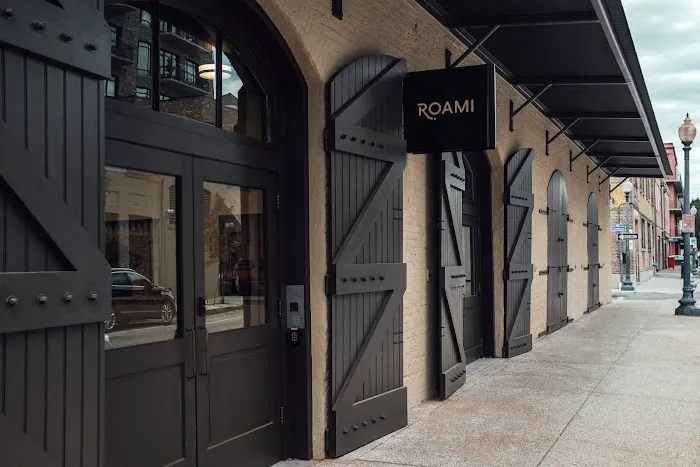 Roami at The Luzianne 5