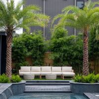 The Blackbird Hotel ico