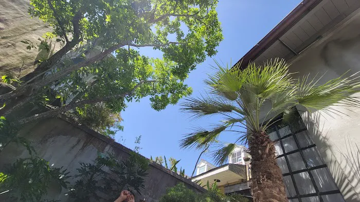 Maison Treme 5