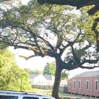 Creole Victorian House ico