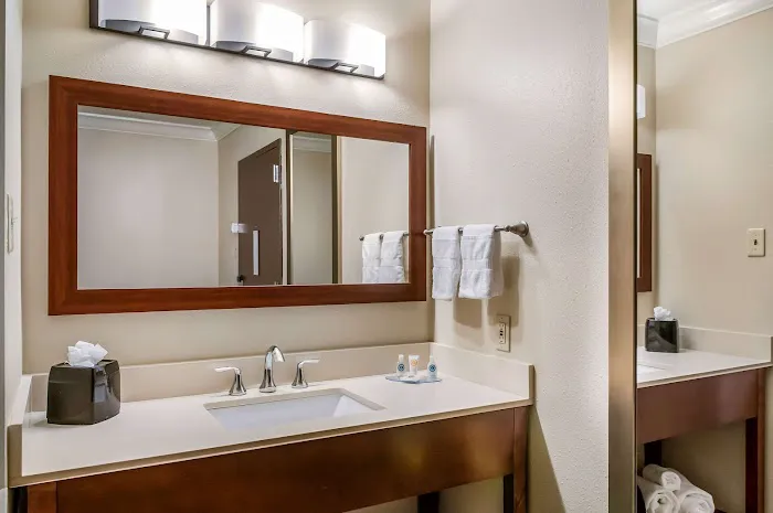 Comfort Inn & Suites At Copeland Tower 4