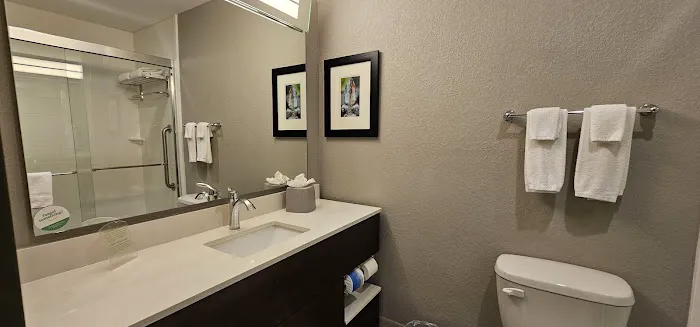 Holiday Inn New Orleans Airport North, an IHG Hotel 4