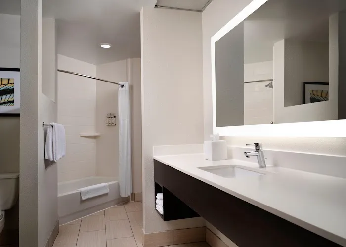 Holiday Inn Express & Suites New Orleans Airport South by IHG 4