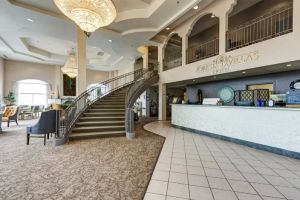 Comparing Boutique Hotels vs Chain Hotels: Which One Is Right for You