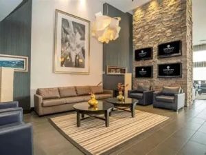 Best Hotels Near Me with Shuttle to City Center and Airport for Easy Travel