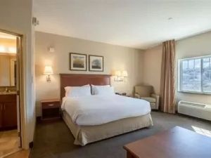 Hotels Near Me with Shuttle to Ski Resorts: A Smart Guide to Slope-Ready Stays