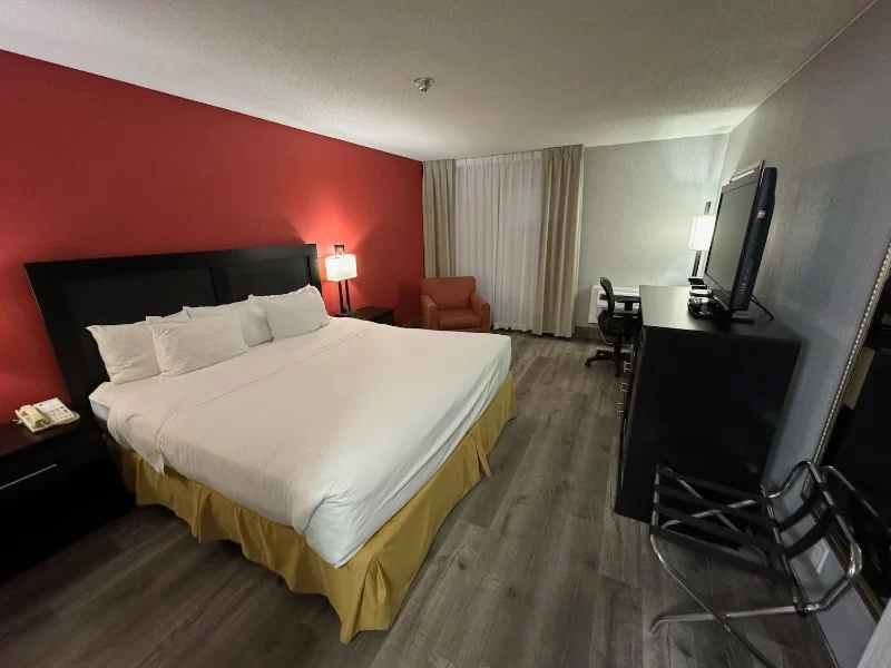 Budget Hotels Near Me with Free Wifi: Affordable Stays with Modern Amenities