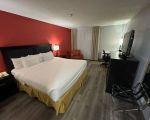 Budget Hotels Near Me with Free Wifi: Affordable Stays with Modern Amenities