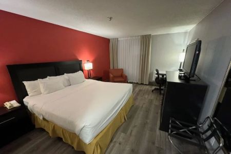 Budget Hotels Near Me with Free Wifi: Affordable Stays with Modern Amenities