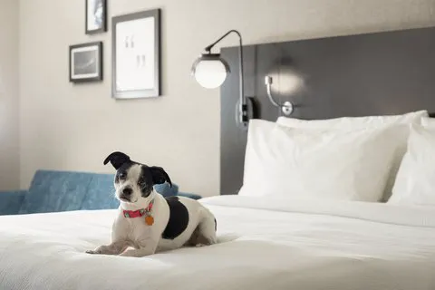 Four Points by Sheraton Milwaukee North Shore 4