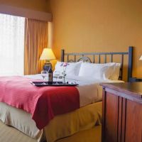 Holiday Inn Pewaukee-Milwaukee West by IHG ico