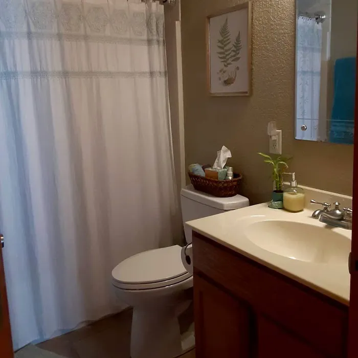 Wandernhaus Vacation Rental 4