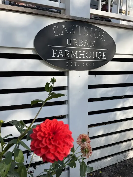 Eastside Urban Farmhouse 5