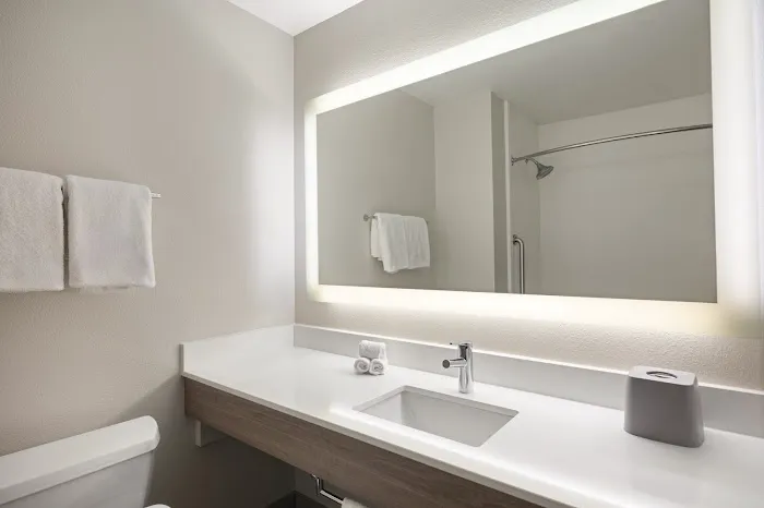 Holiday Inn Express Sheboygan-Kohler (I-43) by IHG 4