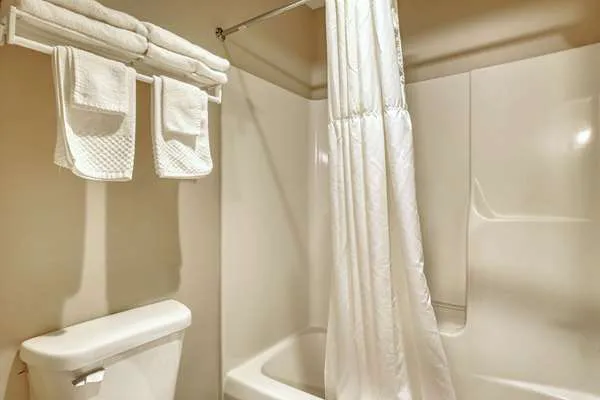 Econo Lodge Lake Mills 4