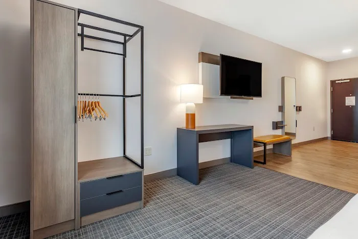 Comfort Suites Cottage Grove - Madison 4