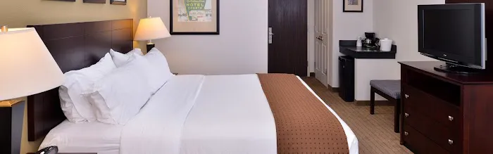 Holiday Inn Madison at the American Center by IHG 4