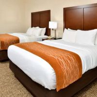Comfort Inn & Suites Madison North ico