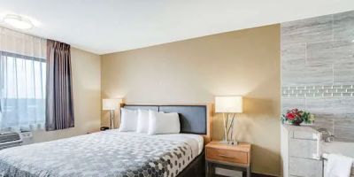 Econo Lodge Madison East