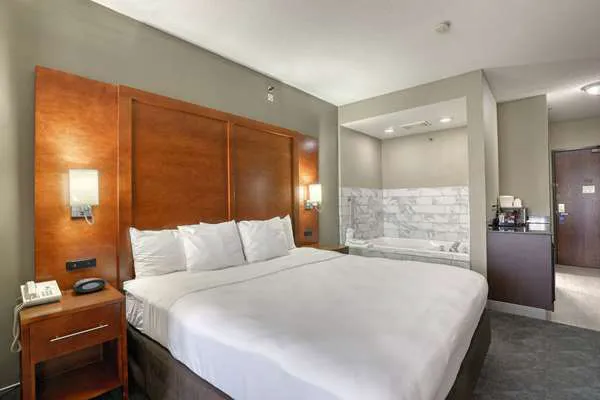 Comfort Suites Madison West - Middleton 4