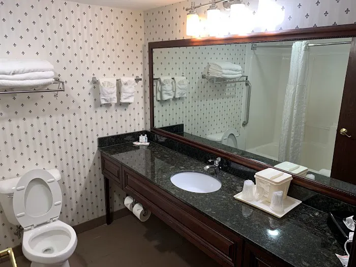 Comfort Suites Madison West - Middleton 4